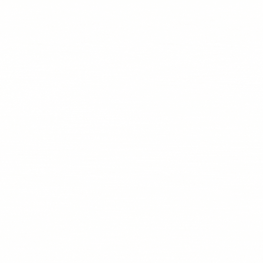The Executive Summary Framework™